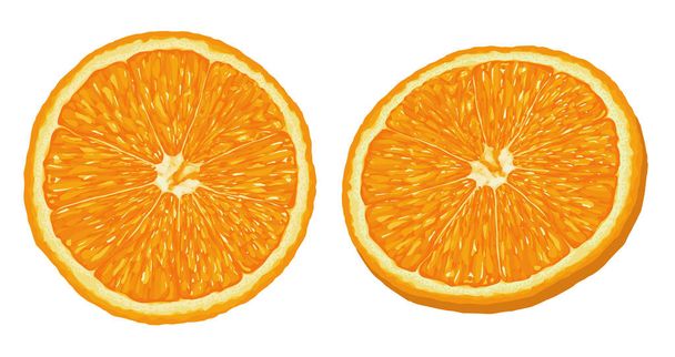 Realistic Ripe and Fresh Orange Slice Vector on iSolated White Background. - Vector, Image