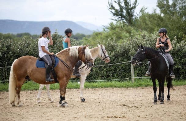 jazda konna dziewcząt i koni - Zdjęcie, obraz