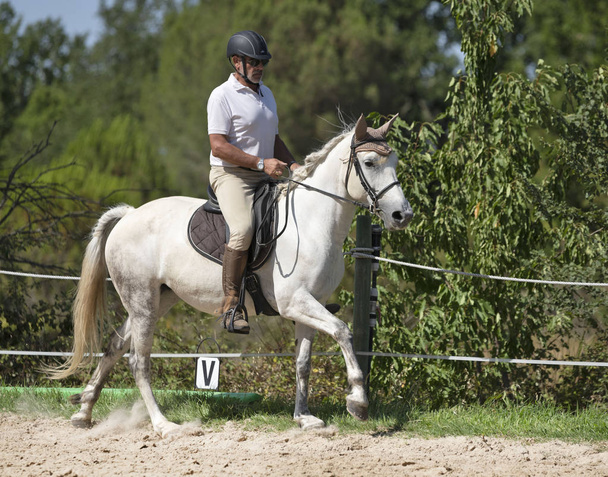 Jezdecký muž a kůň - Fotografie, Obrázek