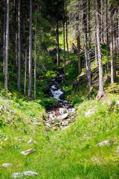 Krimmler Falls, Hohe Tauern National Park, Salzburger Land, Austria, Europe - Photo, image