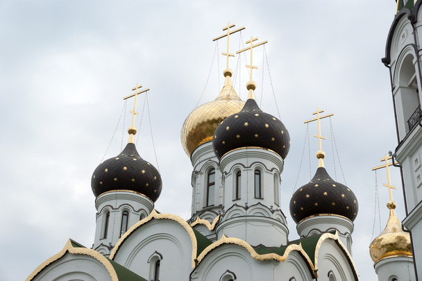 Церква святого Олександра Невського, Росія - Фото, зображення
