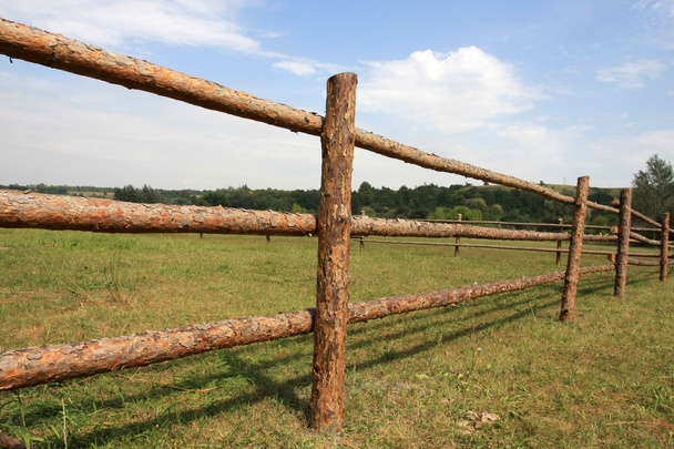 Bataklığı ahşap çit - Fotoğraf, Görsel