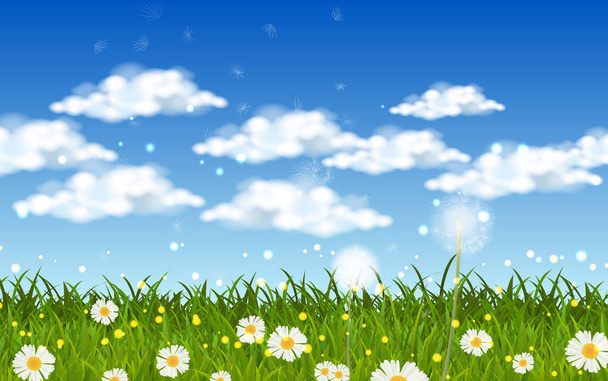 blowball dandelion and white daisy on the green grass - Vector, Image