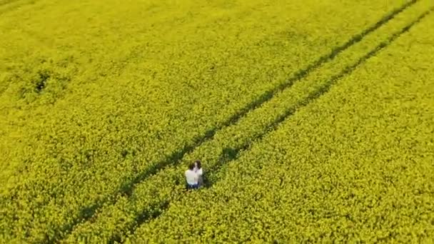 romantisches Paar Silhouette Umarmungen auf endlosen gelben Feld - Filmmaterial, Video