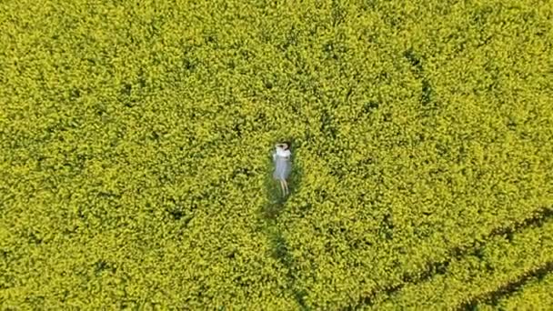 menina bonita repousa sobre florescendo campo de colza zoom in
 - Filmagem, Vídeo