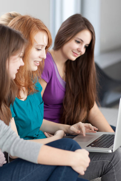 Group of female college students working on their homework - Photo, Image