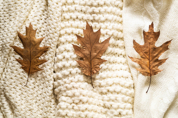 Fall háttér meleg pulóverek. Kötött Ruhaszárítók őszi levelekkel, meleg háttérrel, kötöttáru, szöveg - Fotó, kép