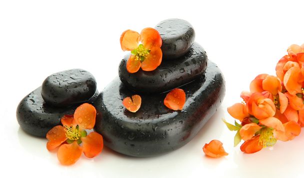 Spa stones and flowers isolated on white - Фото, изображение