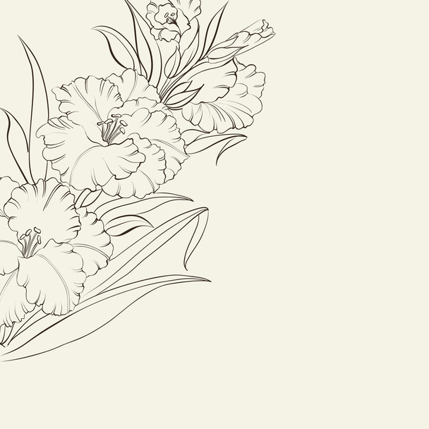 Beautiful fresh iris flowers. - Vector, Image