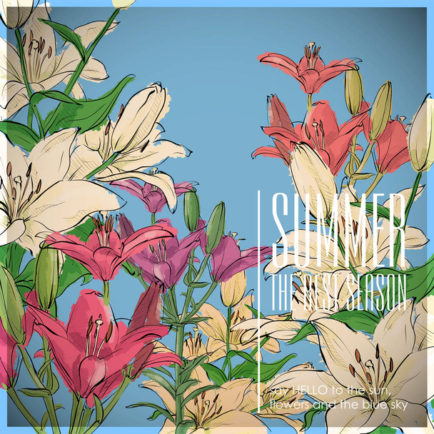 Floral card.Sketch style. Vector illustration. - Vector, Image