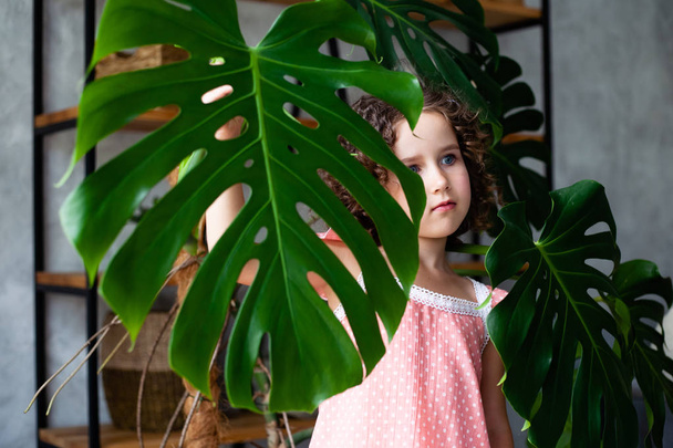 Little girl model with monstera. Portrait of a little girl with monstera leaves. - Photo, Image