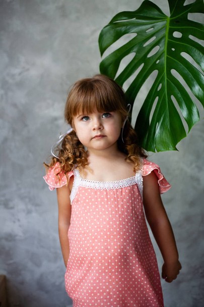 Monstera'lı küçük kız modeli. Monstera yaprakları ile küçük bir kız portresi. - Fotoğraf, Görsel