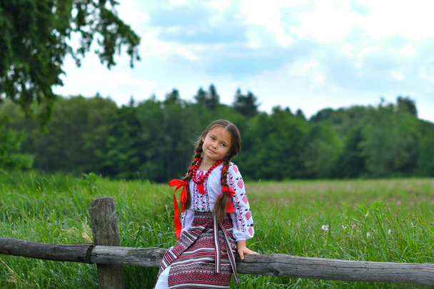 Portret van Oekraïense mooi meisje in vyshivanka in groene veld van tarwe. meisje in borduurwerk - Foto, afbeelding