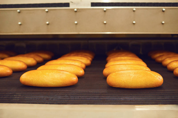 Raw bread on trays before baking at the bakery. - Foto, Bild