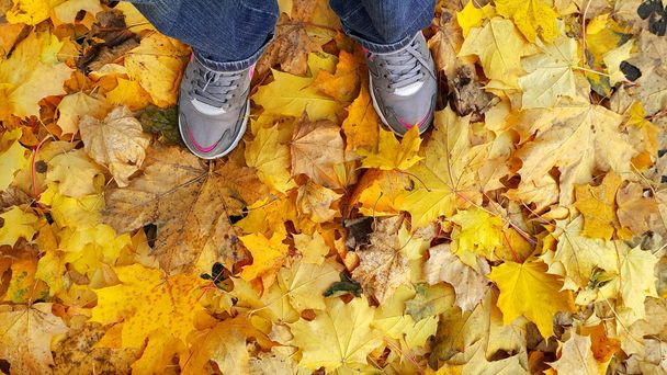 Feet standing on fallen autumn leaves - Photo, Image