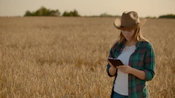 Young woman farmer working with tablet in field at sunset. The owner of a small business concept - Кадри, відео