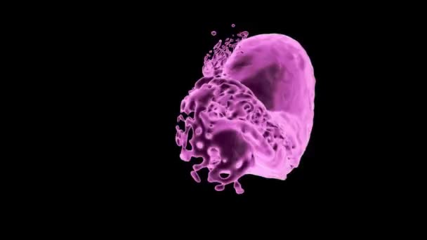 ピンクの輝く液体は抽象的に飛び散り、黒い背景に隔離された回転を続ける - 映像、動画