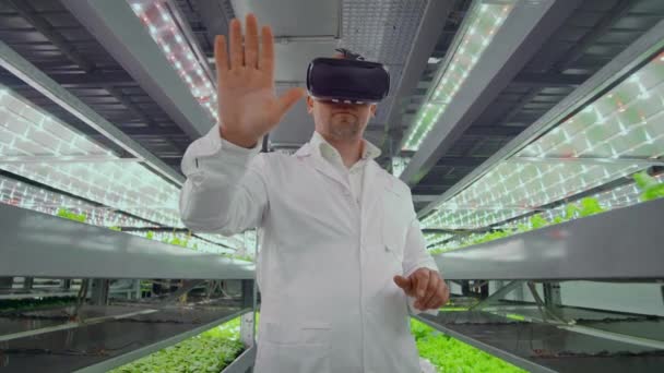 Wissenschaftler in weißem Mantel steht im Flur der vertikalen Landwirtschaft mit Hydroponik mit Brille virtualnoy Realität um die grünen Vitrinen mit Gemüse - Filmmaterial, Video