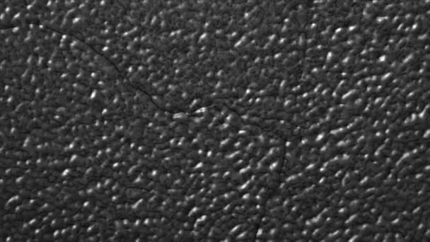 Astratto sfondo di pietra scura con strutture morphing
 - Filmati, video