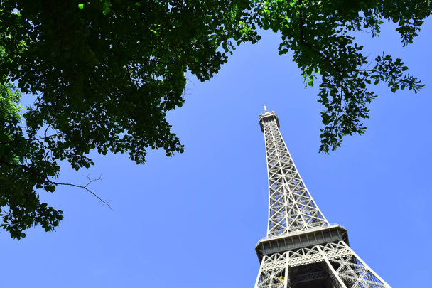 Ейфелева вежа в Парижі з зеленими гілками дерева на фоні синього неба  - Фото, зображення
