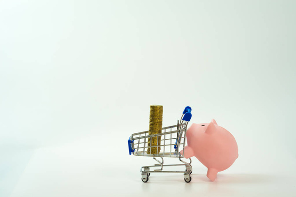 piggy bank pushing shopping cart with coins on top, White background - Photo, Image