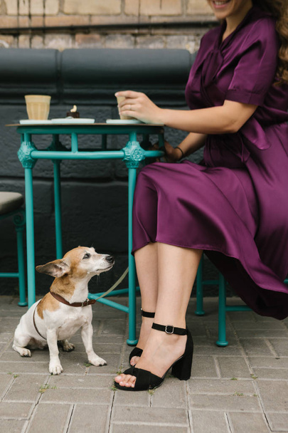 dog and woman in street cafe. having lunch out. Elegant style purple stylish silk dress - Foto, Imagem