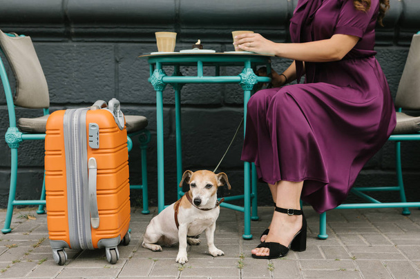Coffee break in travel. Dog and woman in street cafe - 写真・画像