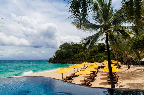 Umbrella from the sun, beach beds, infinity pool, under palm tre - Photo, Image