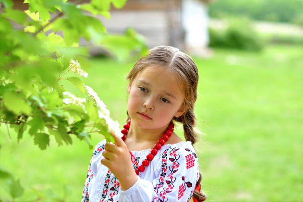 Portret van Oekraïense mooi meisje in vyshivanka met Viburnum bloemen. Concept van nationale tradities - Foto, afbeelding
