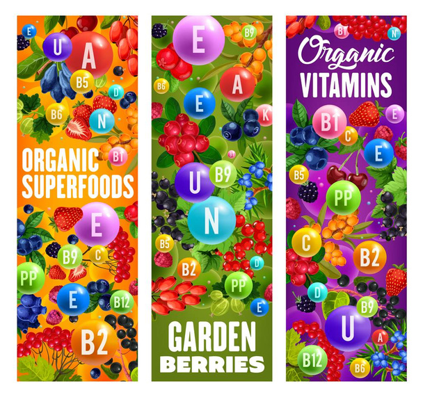 Organic berries, natural healthy fruit superfood - Vector, Image