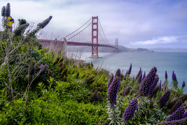 περίφημη χρυσή γέφυρα πυλών στο Σαν Φρανσίσκο, Καλιφόρνια, ΗΠΑ - Φωτογραφία, εικόνα