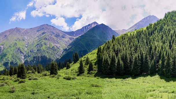 Panorama of the mountain valley in the summer. Amazing nature, mountains, lit by the sun in clear weather, summer in the mountains. Travel, tourism, beautiful background, a picture of nature - Photo, Image