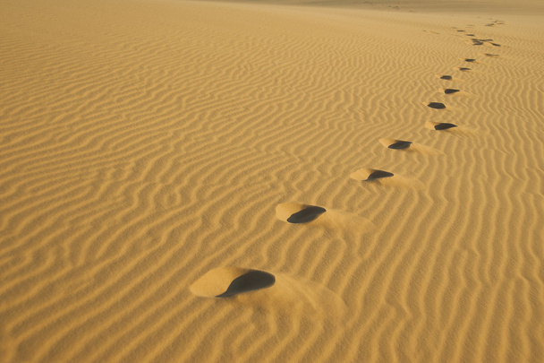 stopy na písečných dunách v mui ne, vietnam. - Fotografie, Obrázek