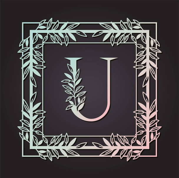 letter U in square frame with leafs - Vettoriali, immagini
