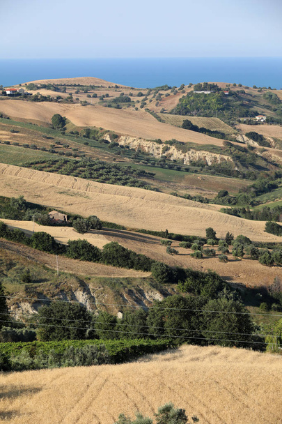 Panoramisch zicht van olijfbomen en boerderijen op de glooiende heuvels van Abruzzo en op de achtergrond de Adriatische Zee. Italië - Foto, afbeelding