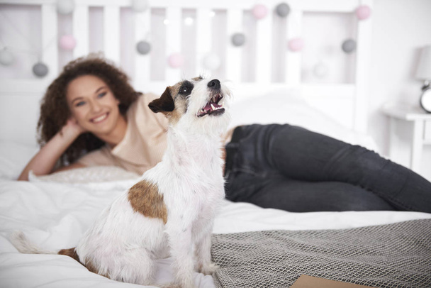 Koira sängyllä ja nuori nainen taustalla
 - Valokuva, kuva