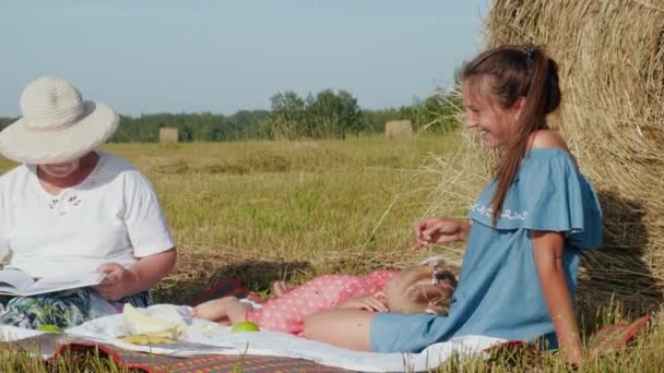 Perhe tekee piknikkiä niityllä
 - Materiaali, video
