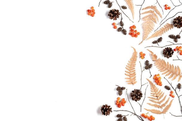 Pattern made of berry rowan, dried fern leaves, cones on white background. Autumn, winter concept. Creative Flat lay, top view, copy space - Foto, imagen