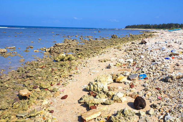 Srí Lanka, Colombo, március 2014. tengerparti üdülőhely trópusi - Fotó, kép