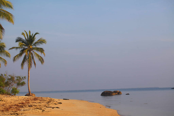 sri lanka, kolumbo, märz 2014. beach resort tropical - Foto, Bild