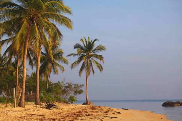 Srí Lanka, Colombo, március 2014. tengerparti üdülőhely trópusi - Fotó, kép