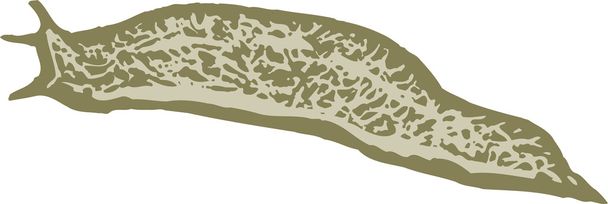 Woodcut Illustration of Garden Pest - Slug - Vector, Image