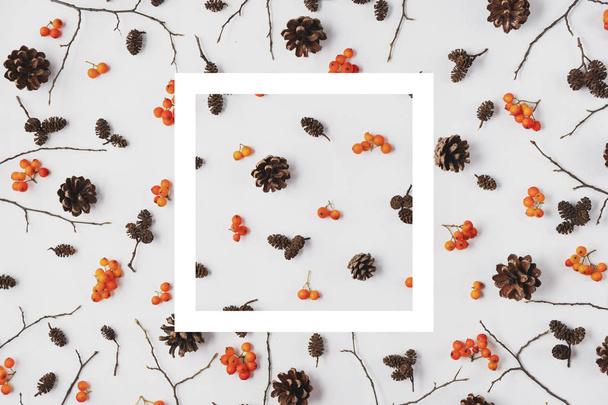 秋の作曲。ベリーローワン、白いフレーム、パステルグレーの背景にコーンで作られたパターン。秋、秋、感謝祭のコンセプト。クリエイティブフラットレイ、トップビュー、コピースペース - 写真・画像