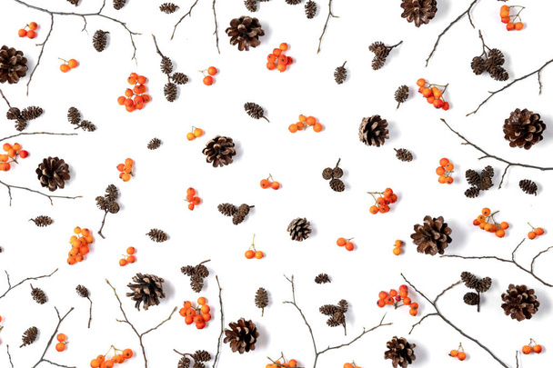 Autumn creative composition. Pattern made of berry rowan, cones on white background. Autumn, fall, thanksgiving day concept. Flat lay, top view, copy space. - Foto, Imagen