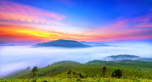 Hajnalban a hegyi fennsíkon köd fedett völgyben da lat, Vietnam. A gyönyörű új nap reggelén csodálatos kilátást teremnek. - Fotó, kép