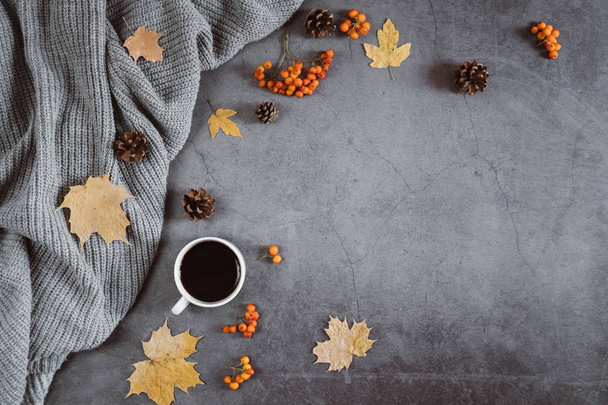 Winter composition. A cup of coffee, sweater, cones, berry rowan and autumn leaves maple on dark concrete background. Autumn, winter concept. Flat lay, top view, copy space - Foto, immagini