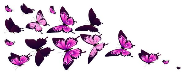 Φωτεινό ροζ πολύχρωμες πεταλούδες που απομονώνονται σε λευκό φόντο - Διάνυσμα, εικόνα