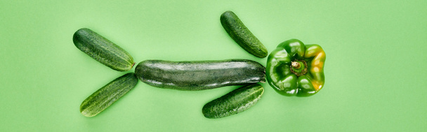 panoramic shot of green and whole pepper, cucumbers and zucchini - Fotoğraf, Görsel