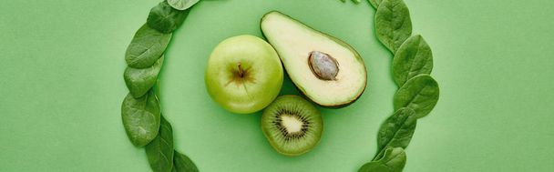 panoramische foto van groene kiwi, appel, groen en avocado - Foto, afbeelding