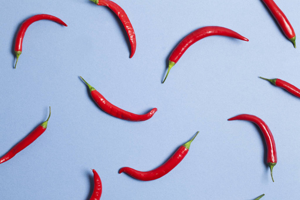 Red chili peppers arranged on a light blue background - Valokuva, kuva